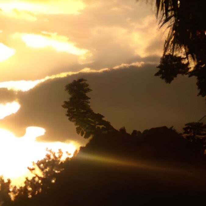 Sunset through silhouetted trees and clouds.