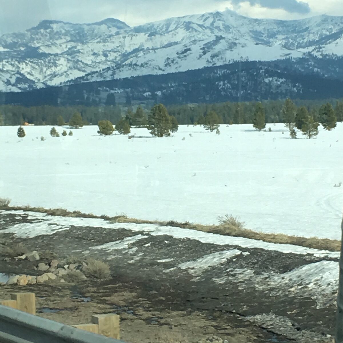 Snowy mountain landscape with trees and road.