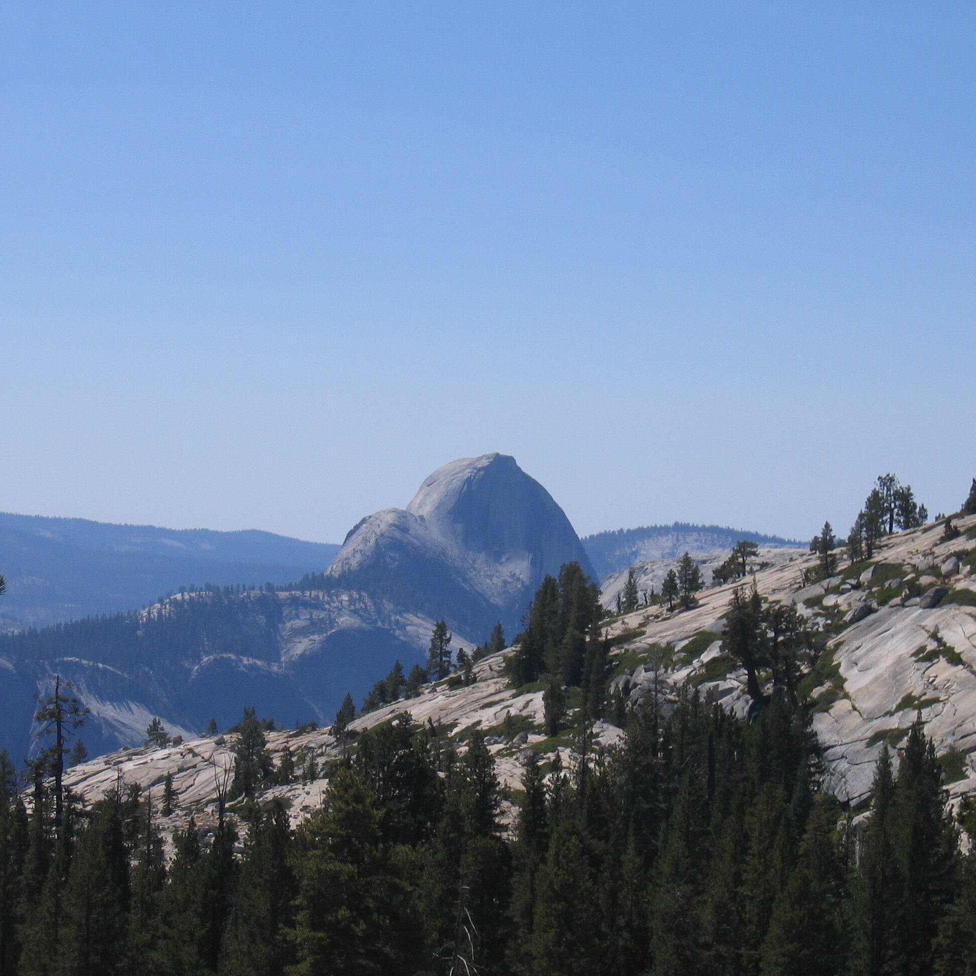 Mountain landscape with trees and rocky dome.
