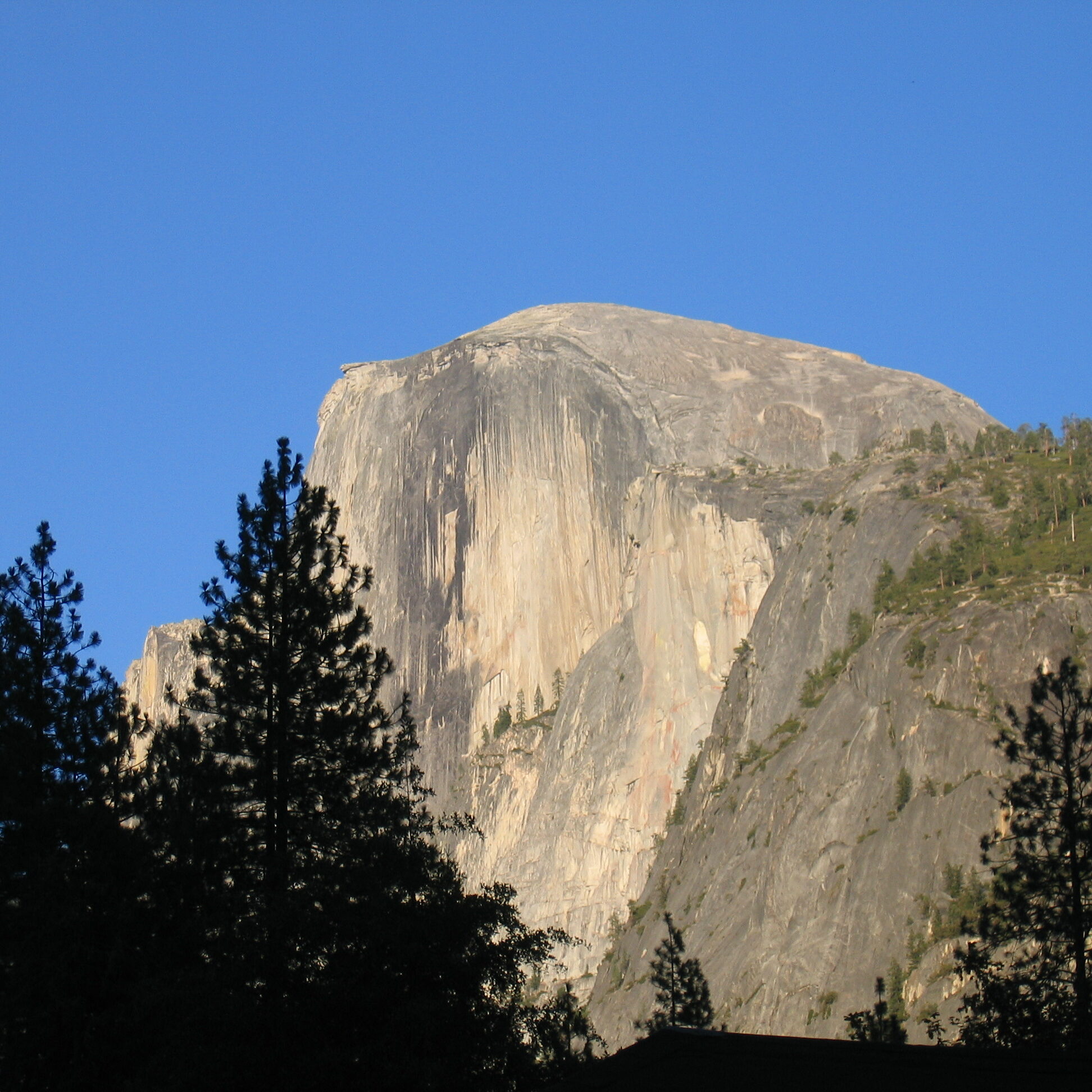 Half Dome with trees under clear sky.