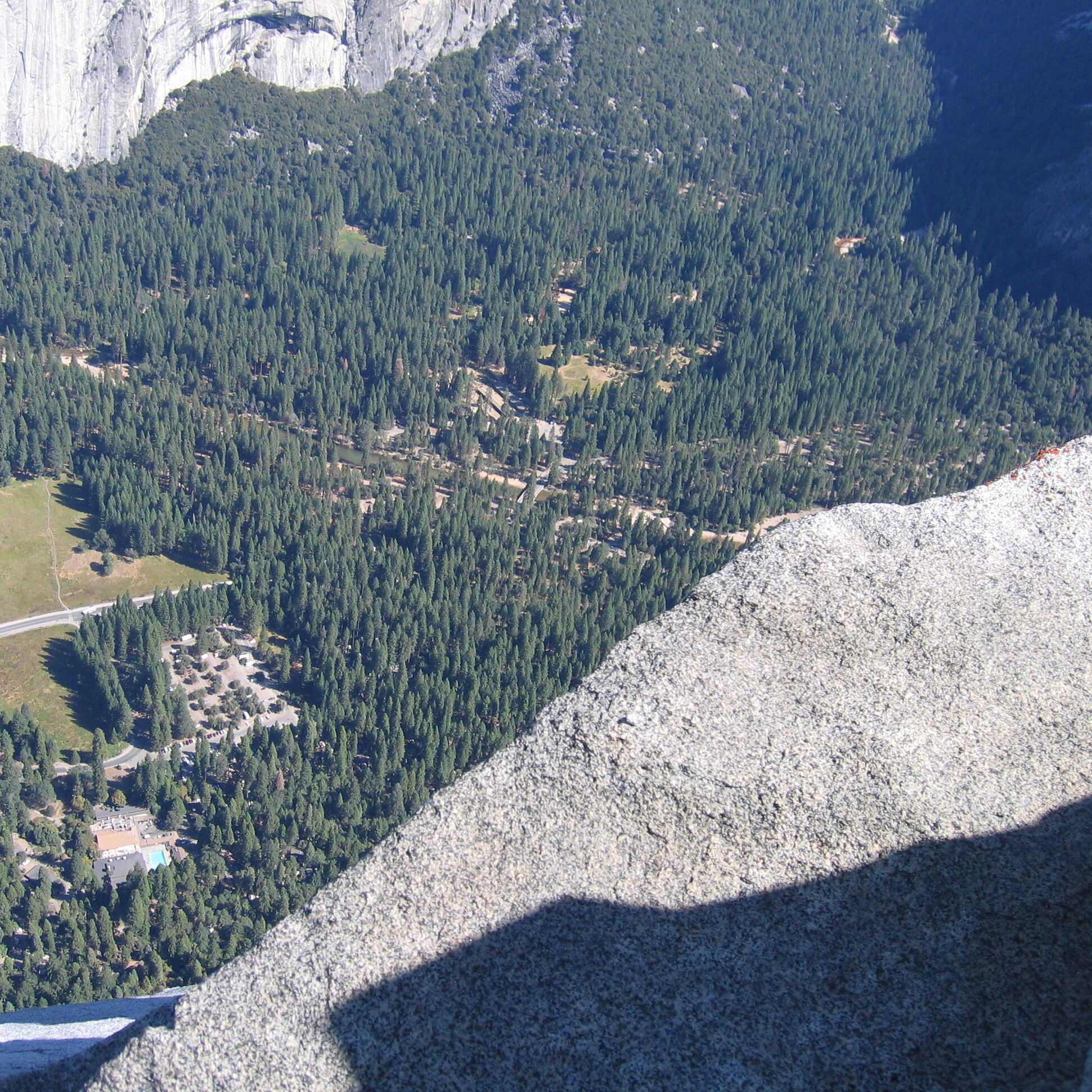 View from a high cliff overlooking forest.