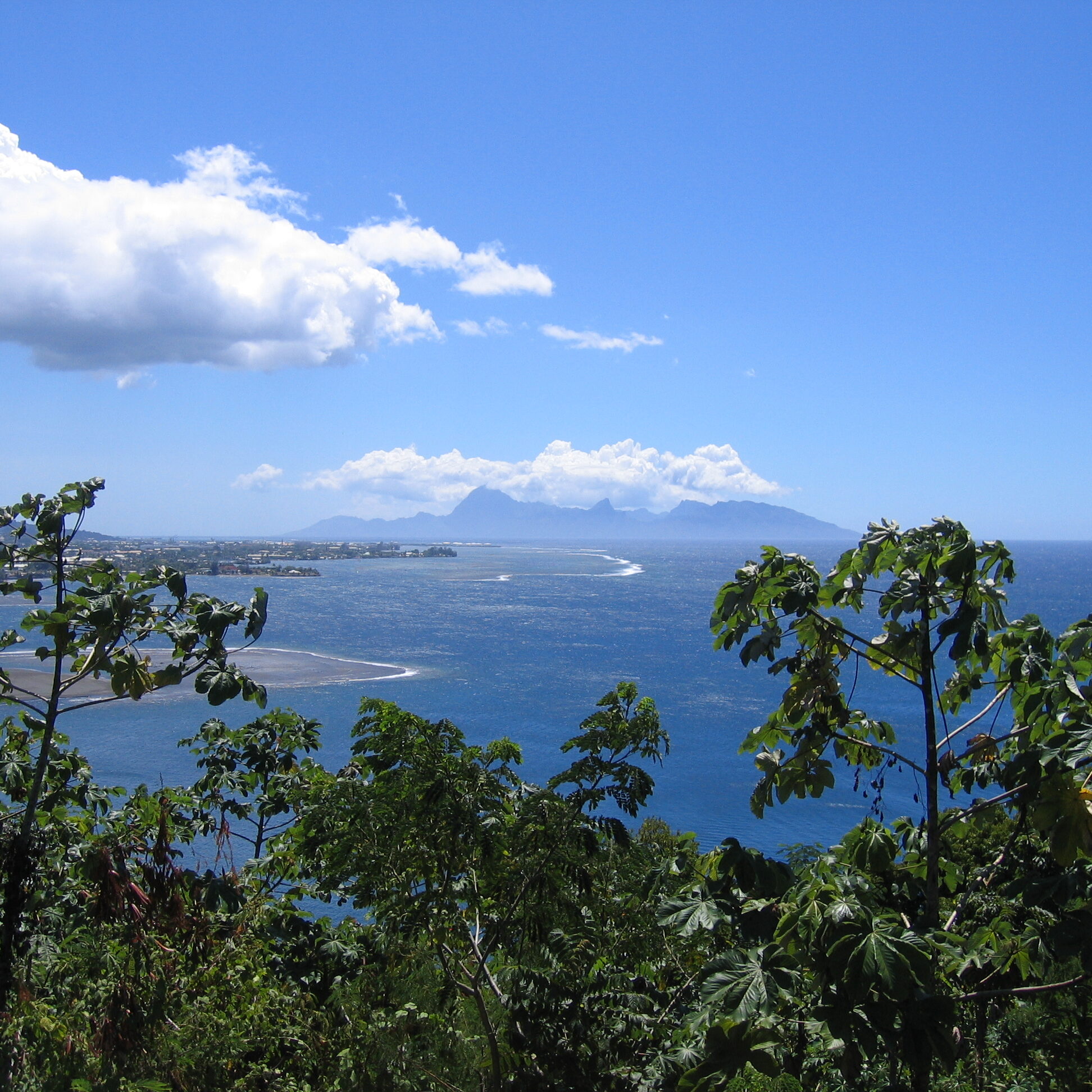 Ocean view with distant mountains and trees.