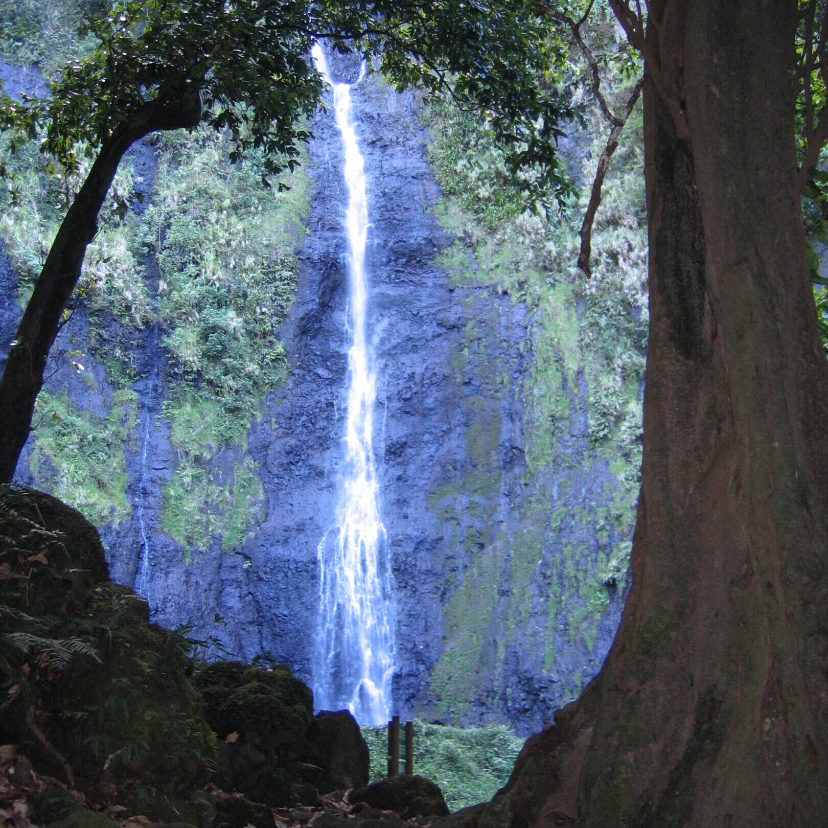 Waterfall framed by trees and rocks.