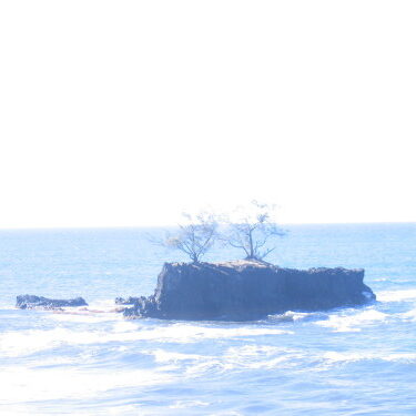Rocky island with trees in the ocean.