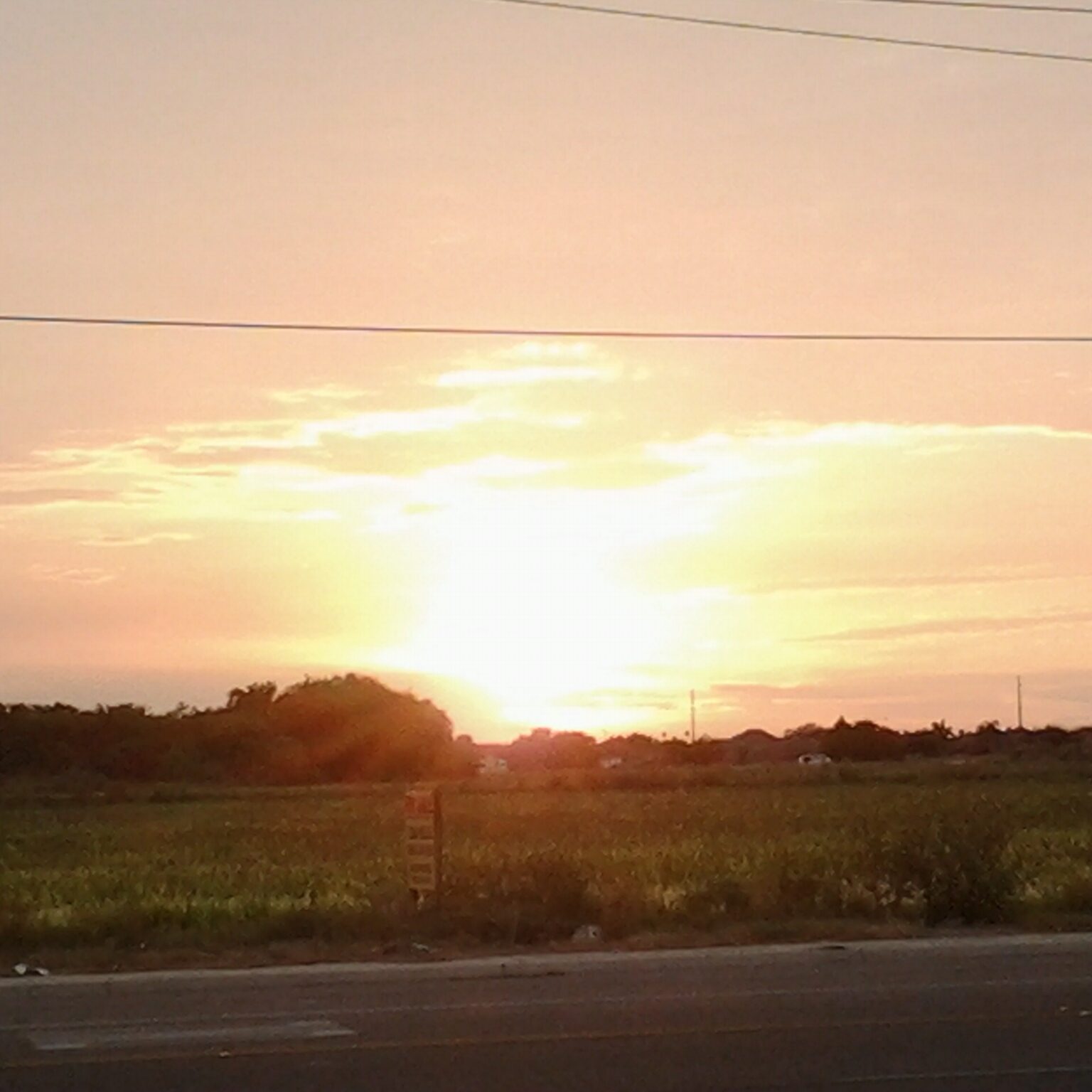 Sunset over field with distant trees.