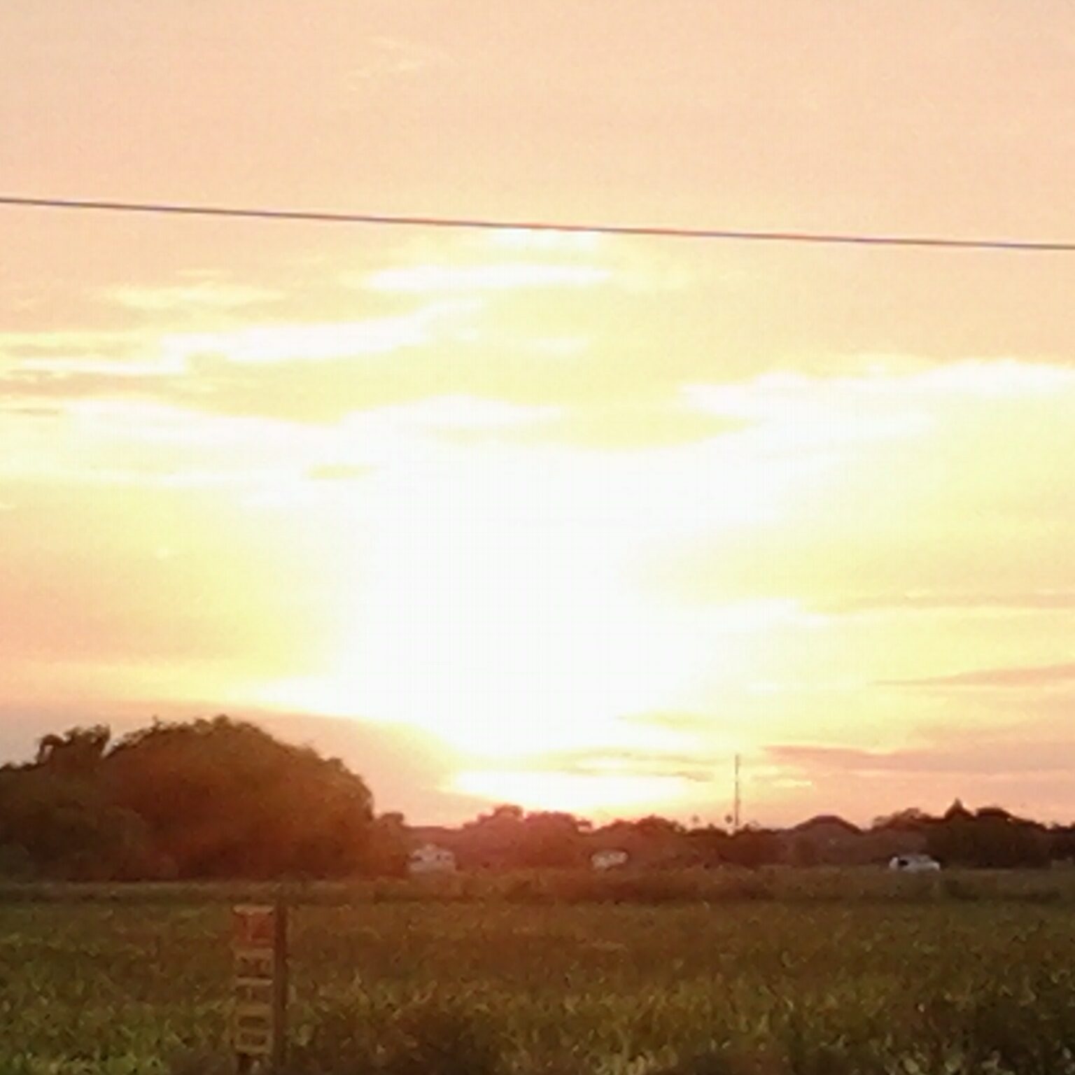 Sunset over a grassy field and horizon.
