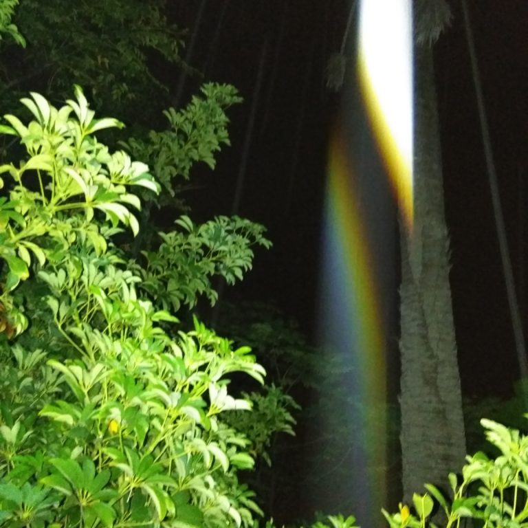 Rainbow light beam in dark forest.