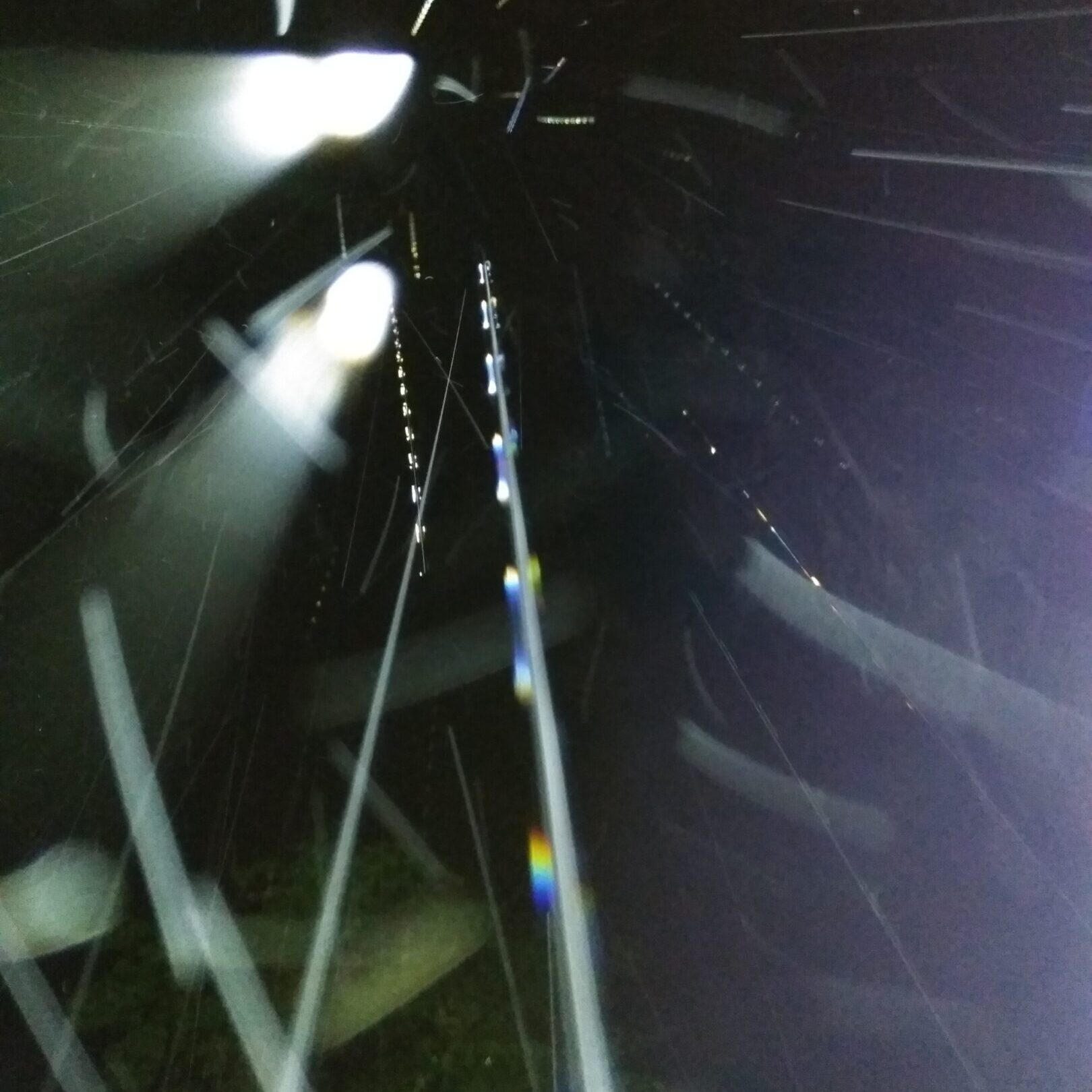 Spiderweb with light streaks at night.