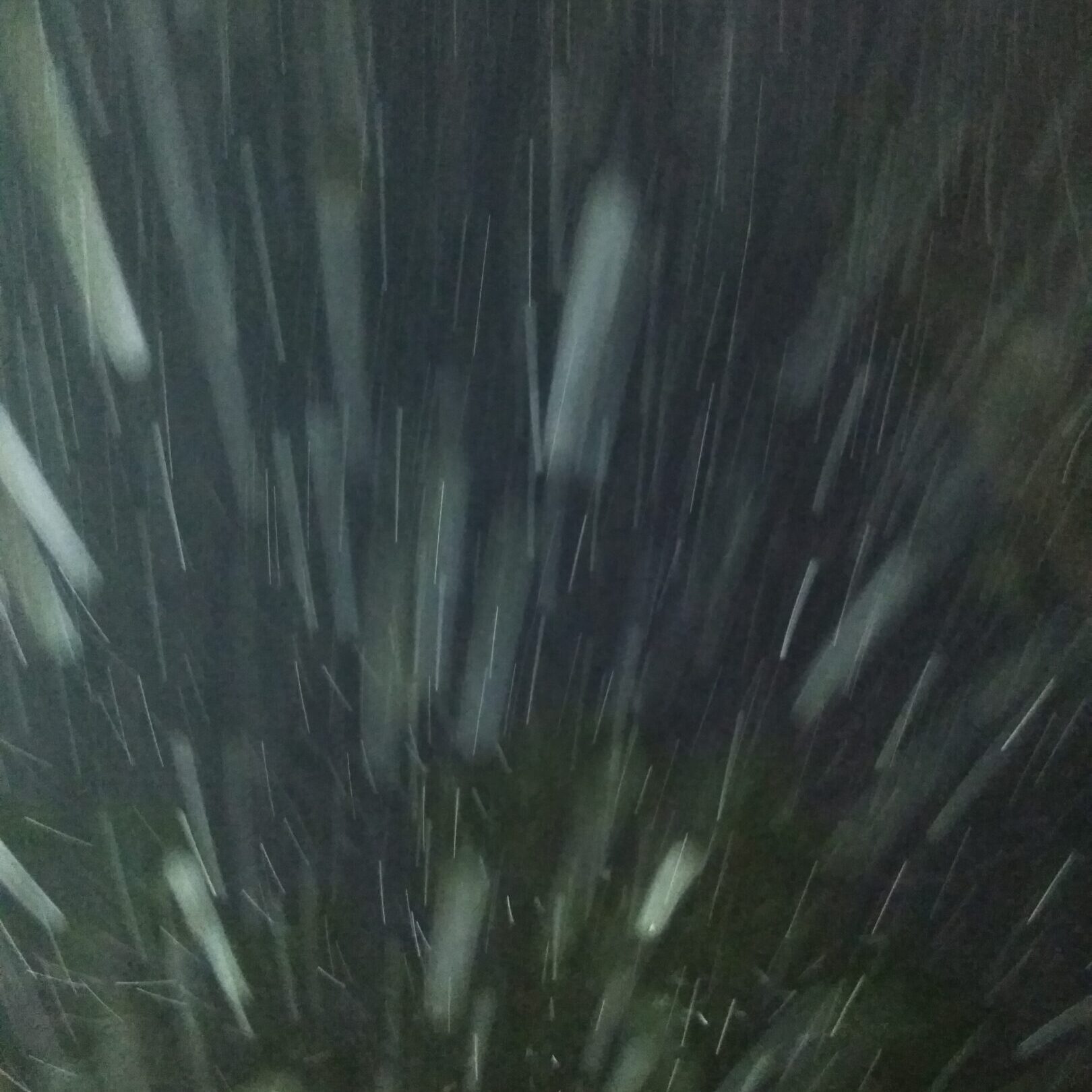 Snowfall at night with blurred effect.
