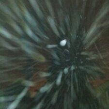 Blurry night scene with streaks of light.