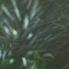 Blurry night scene with swirling lights.