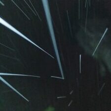 Night sky with streaking meteor trails.