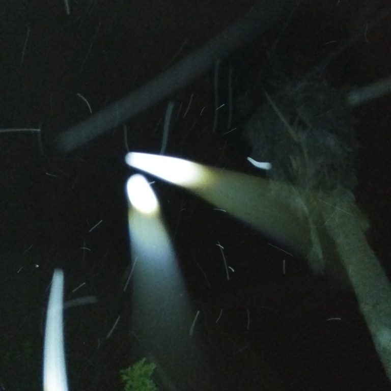 Spotlights shining through dark night sky.