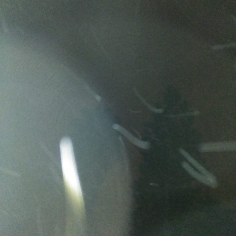 Blurry night scene with tree silhouette.