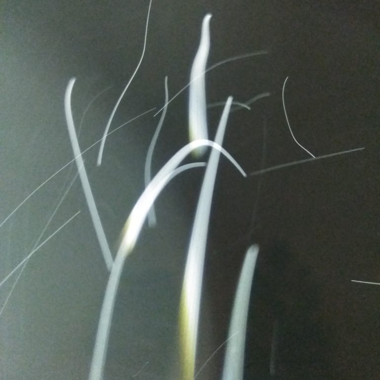 Abstract light streaks on a dark background.