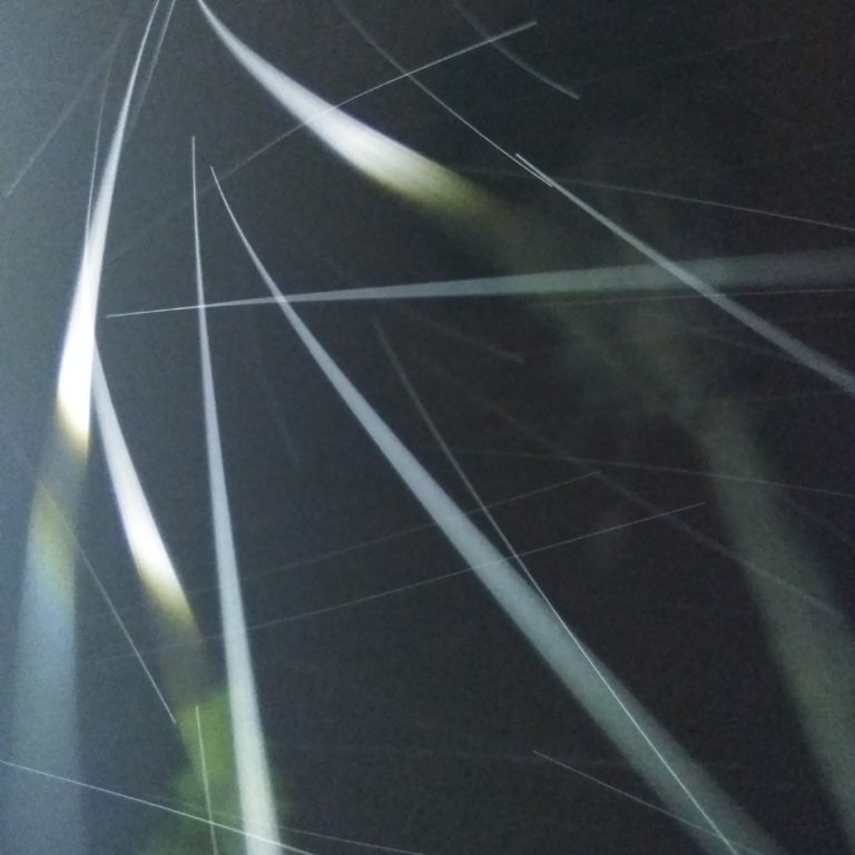 Abstract light streaks against a dark background.