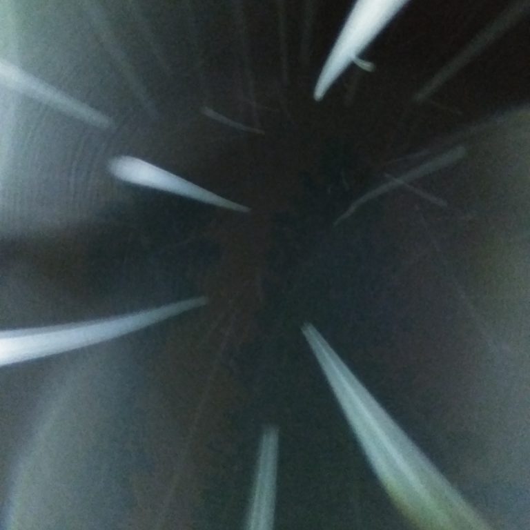 Abstract light streaks against dark background.