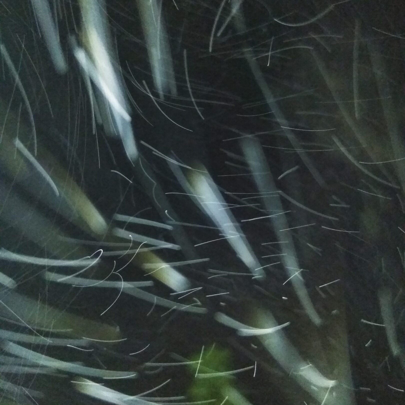 Blurred motion of lights and dark background.