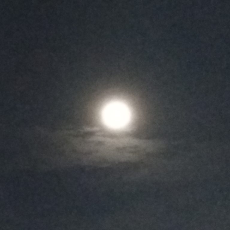 Bright full moon in a dark sky.