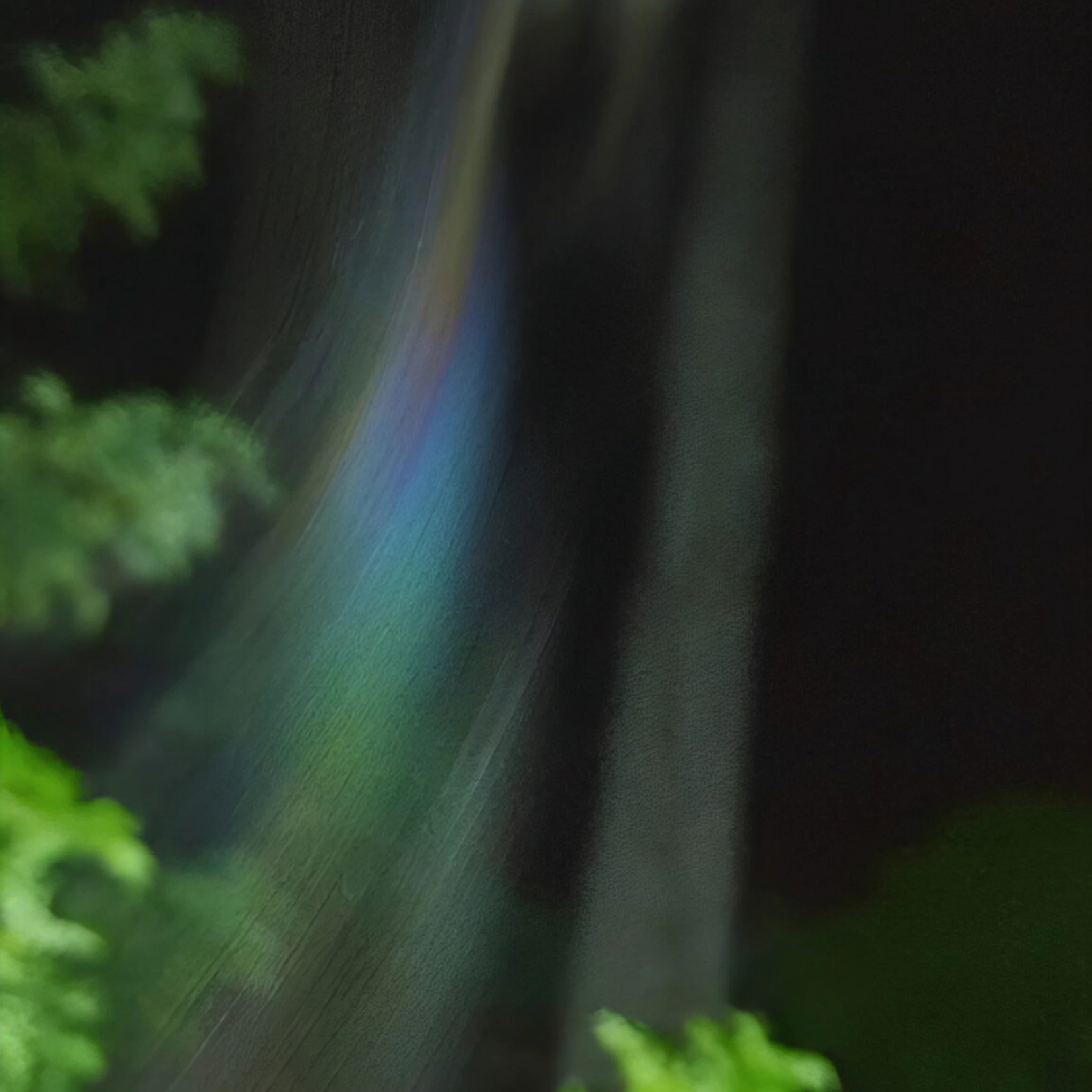 Iridescent light streaks in dark forest
