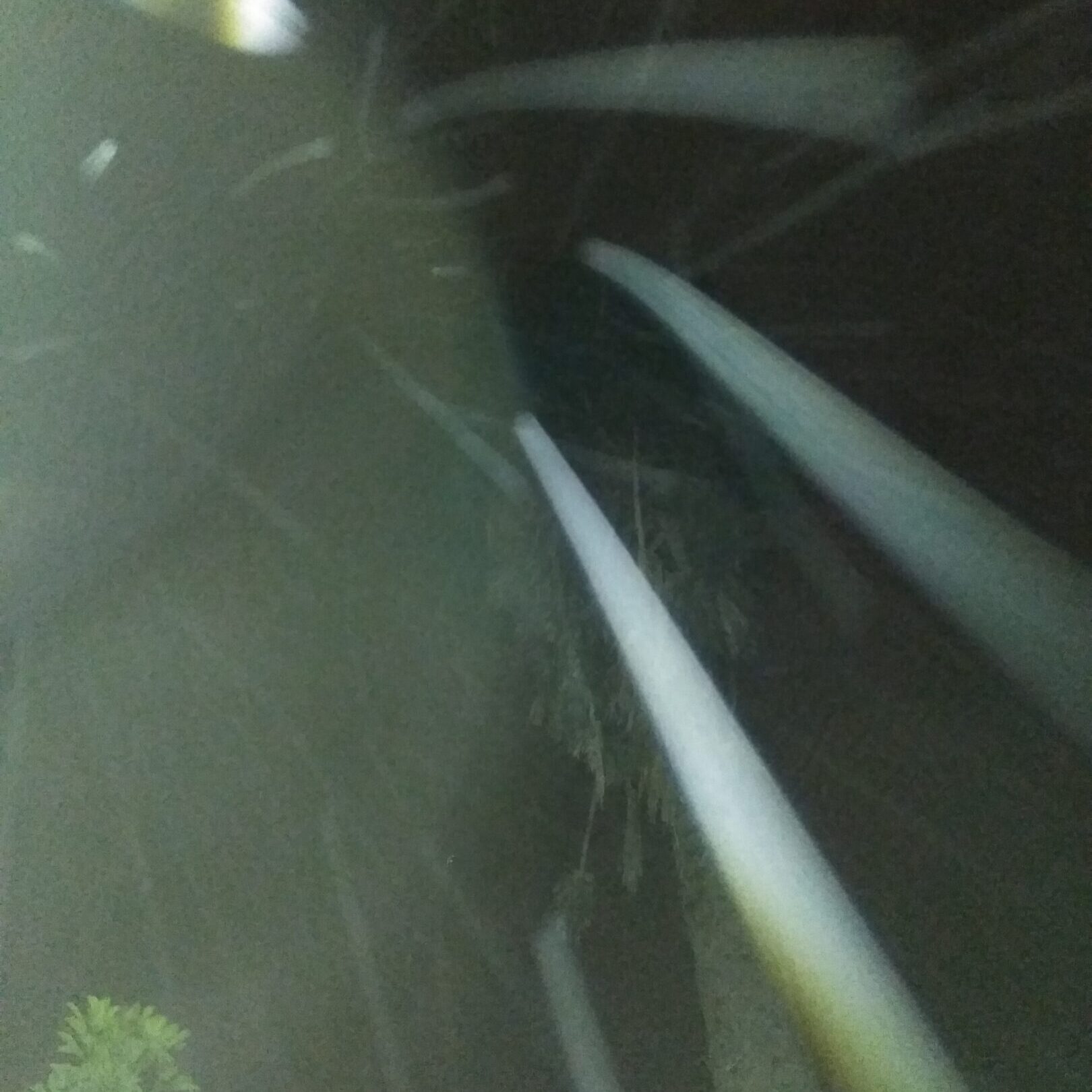 Blurry night sky with streaks of light.