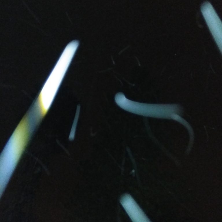 Abstract light streaks against dark background.