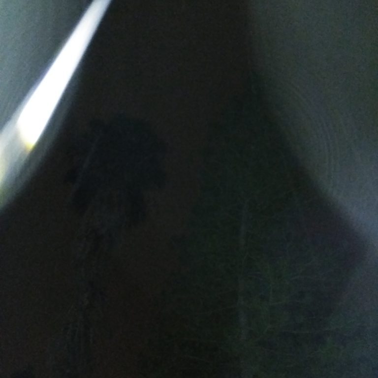 Blurry night sky with trees and light.