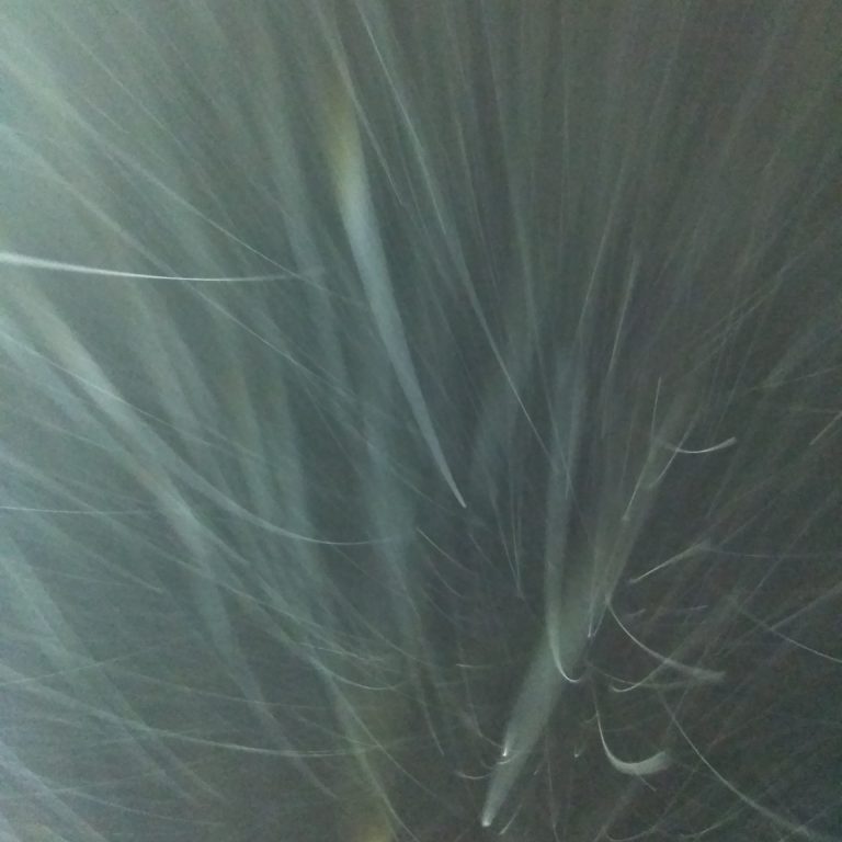 Abstract light streaks against a dark background.