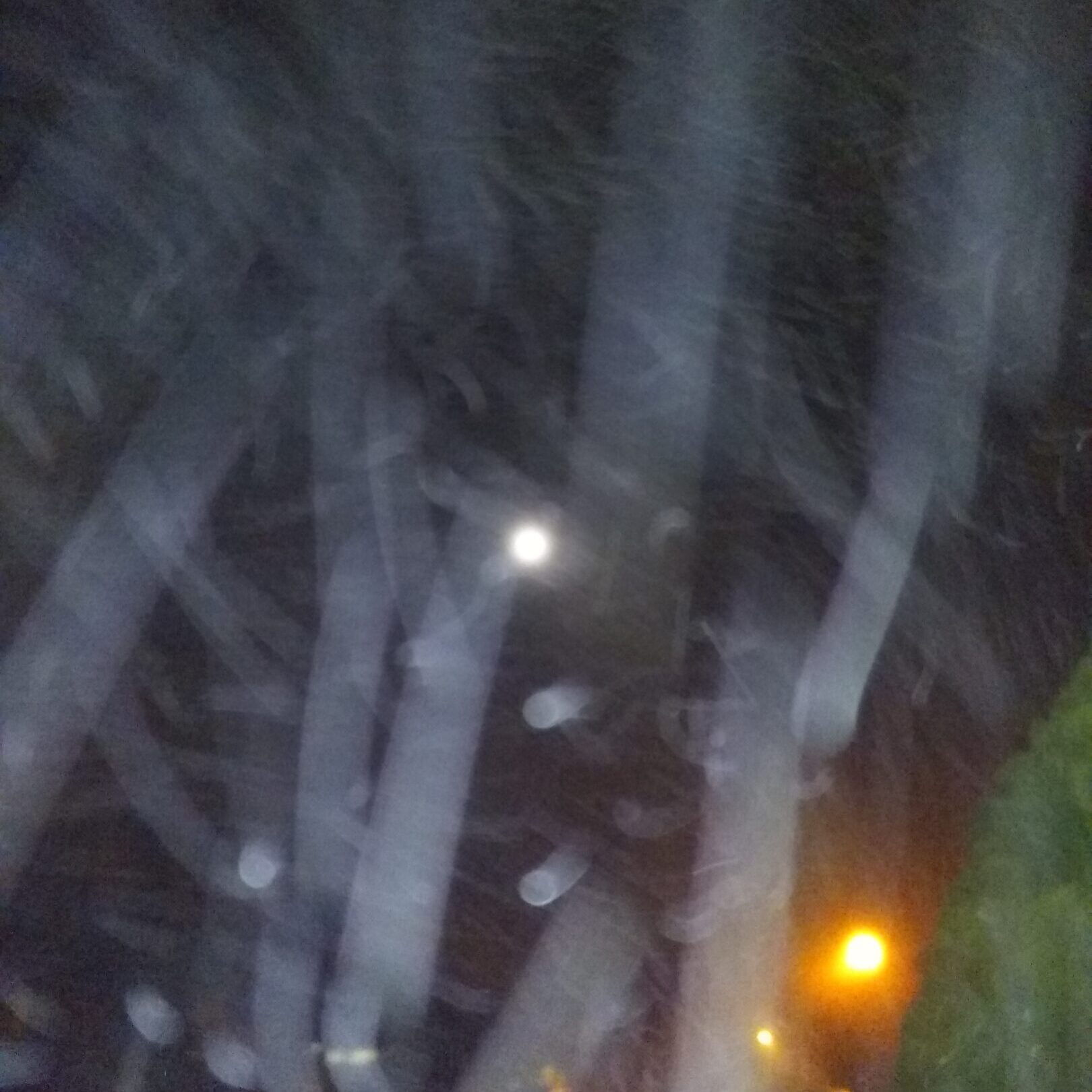 Blurred night scene with lights and streaks.
