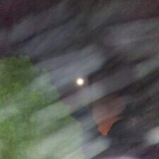 Moonlight through cloudy night sky and trees.