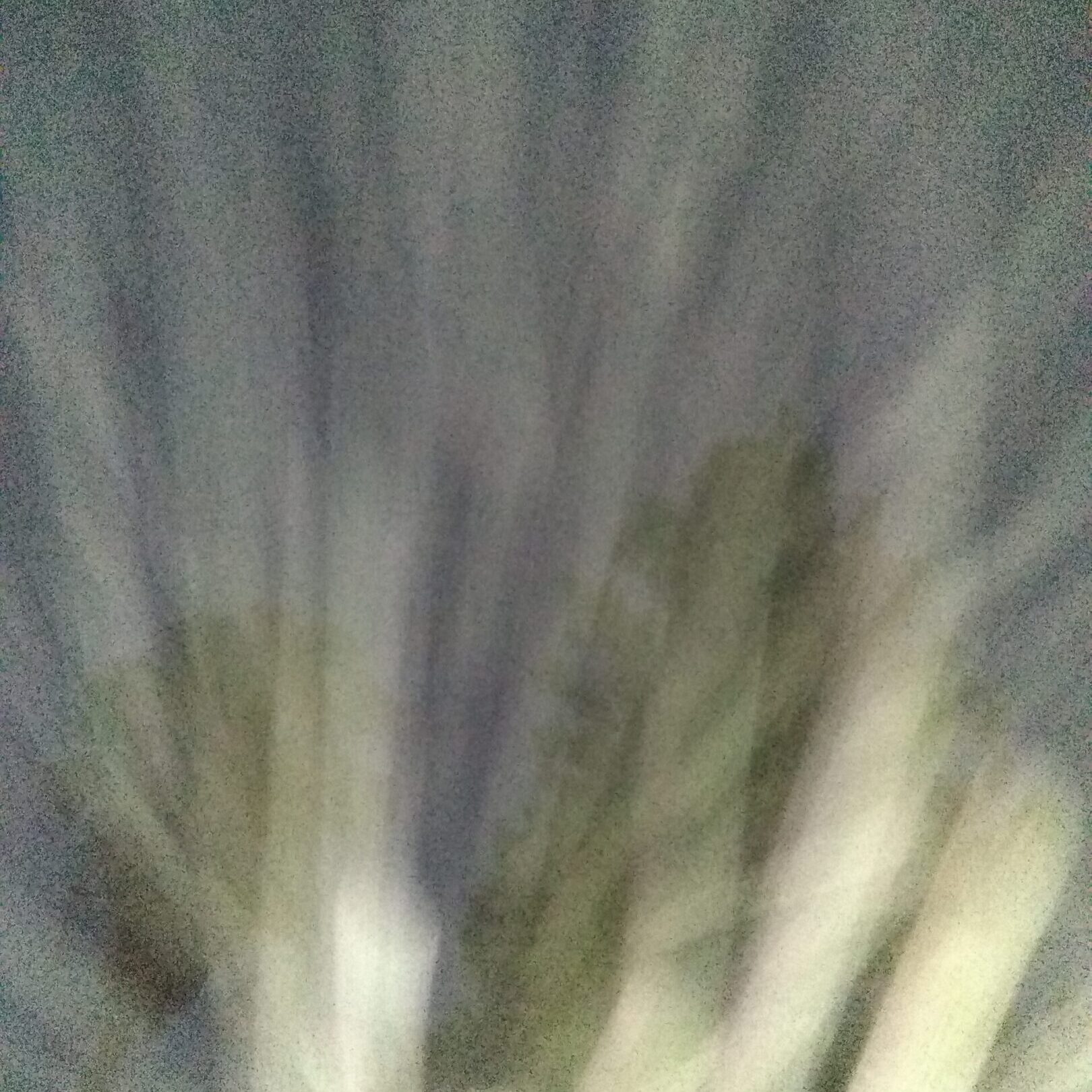 Blurred trees with light streaks at night.