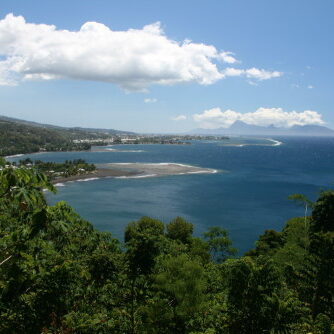 Coastal landscape with lush greenery and ocean.