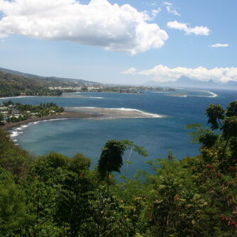 Coastal landscape with lush greenery and ocean.