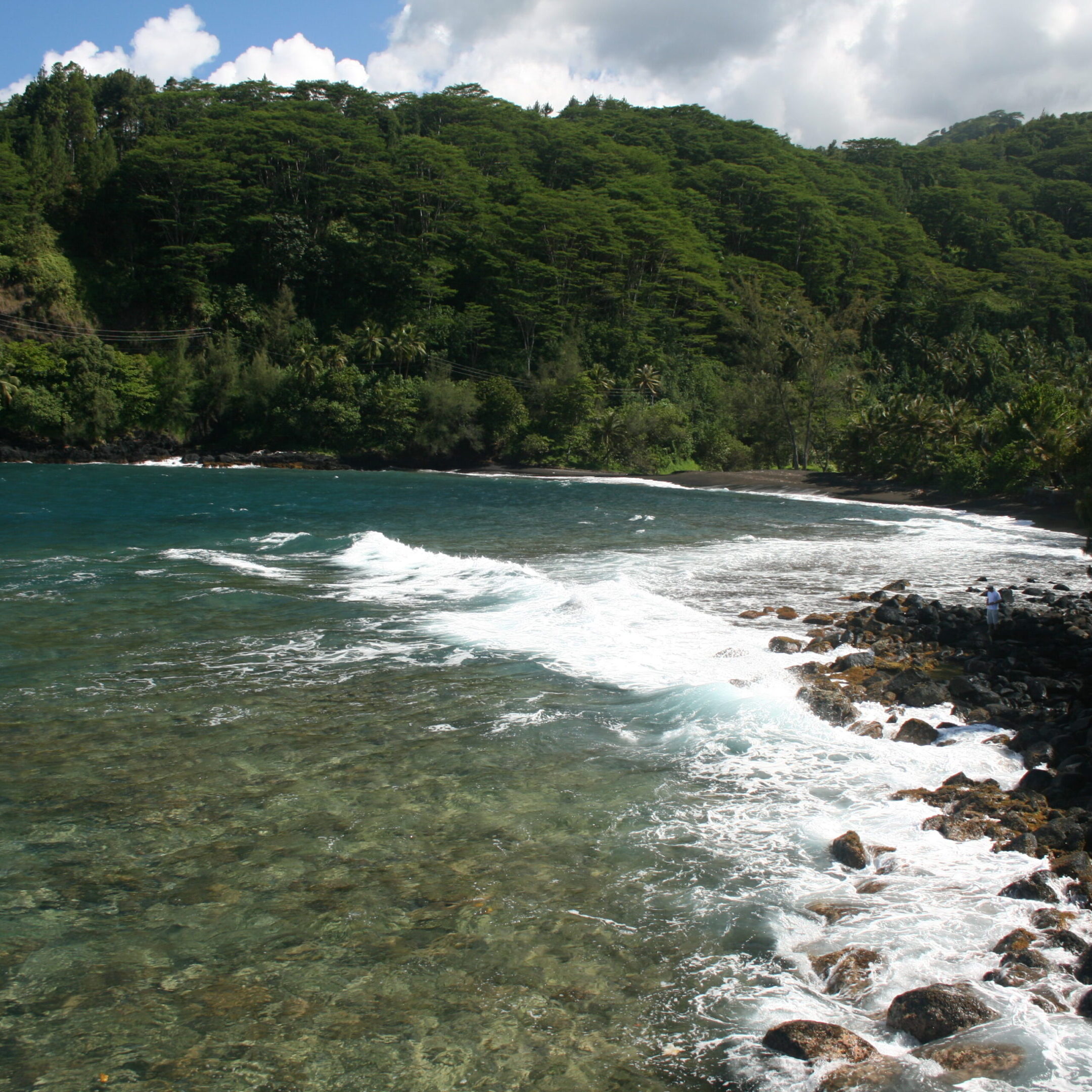 Tropical coastline with lush green forest.