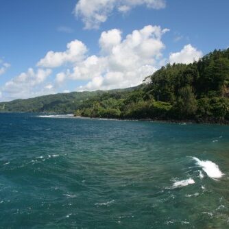 Coastal landscape with ocean and lush greenery.