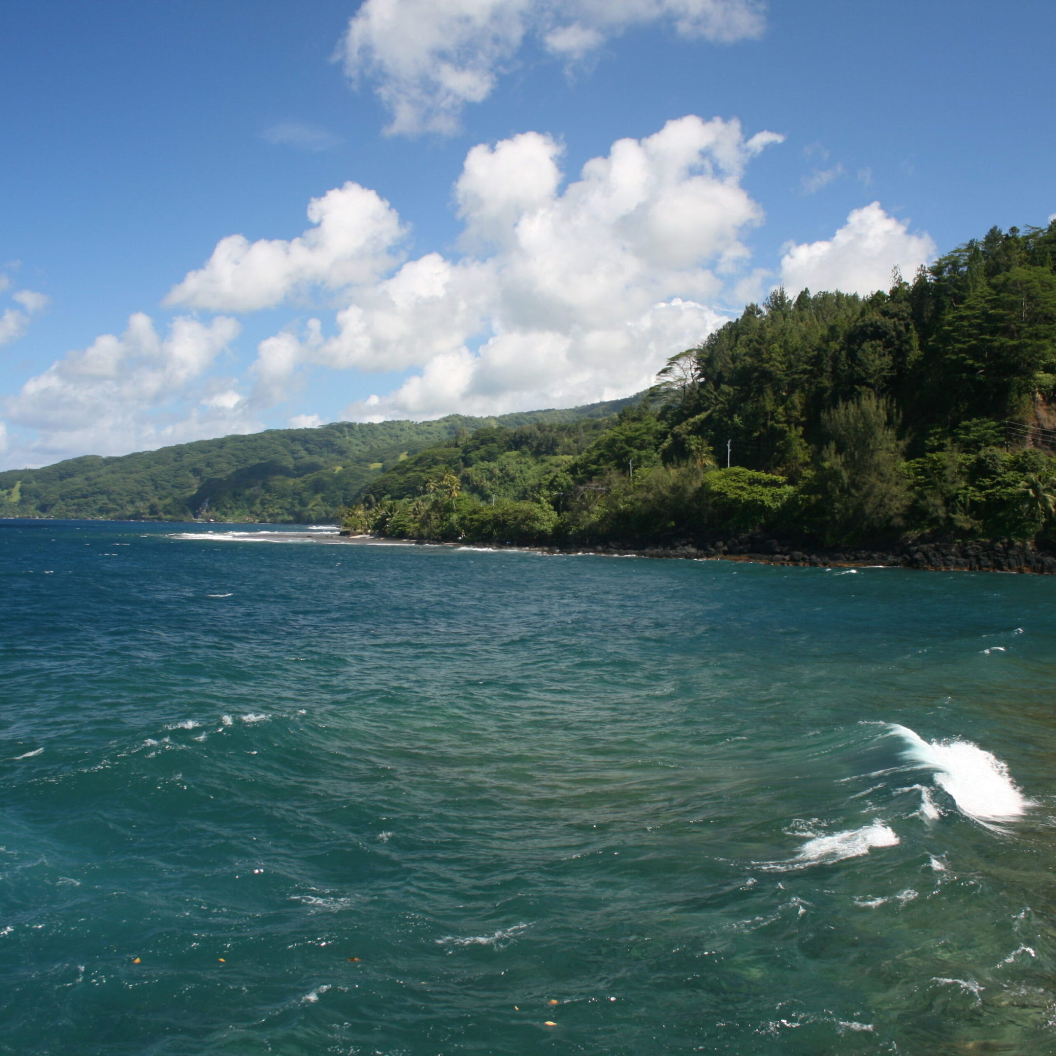 Coastal landscape with lush greenery and ocean.