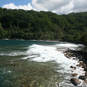 Tropical coastline with lush green forest.