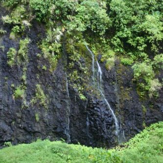 Water trickling down lush, rocky cliff face.