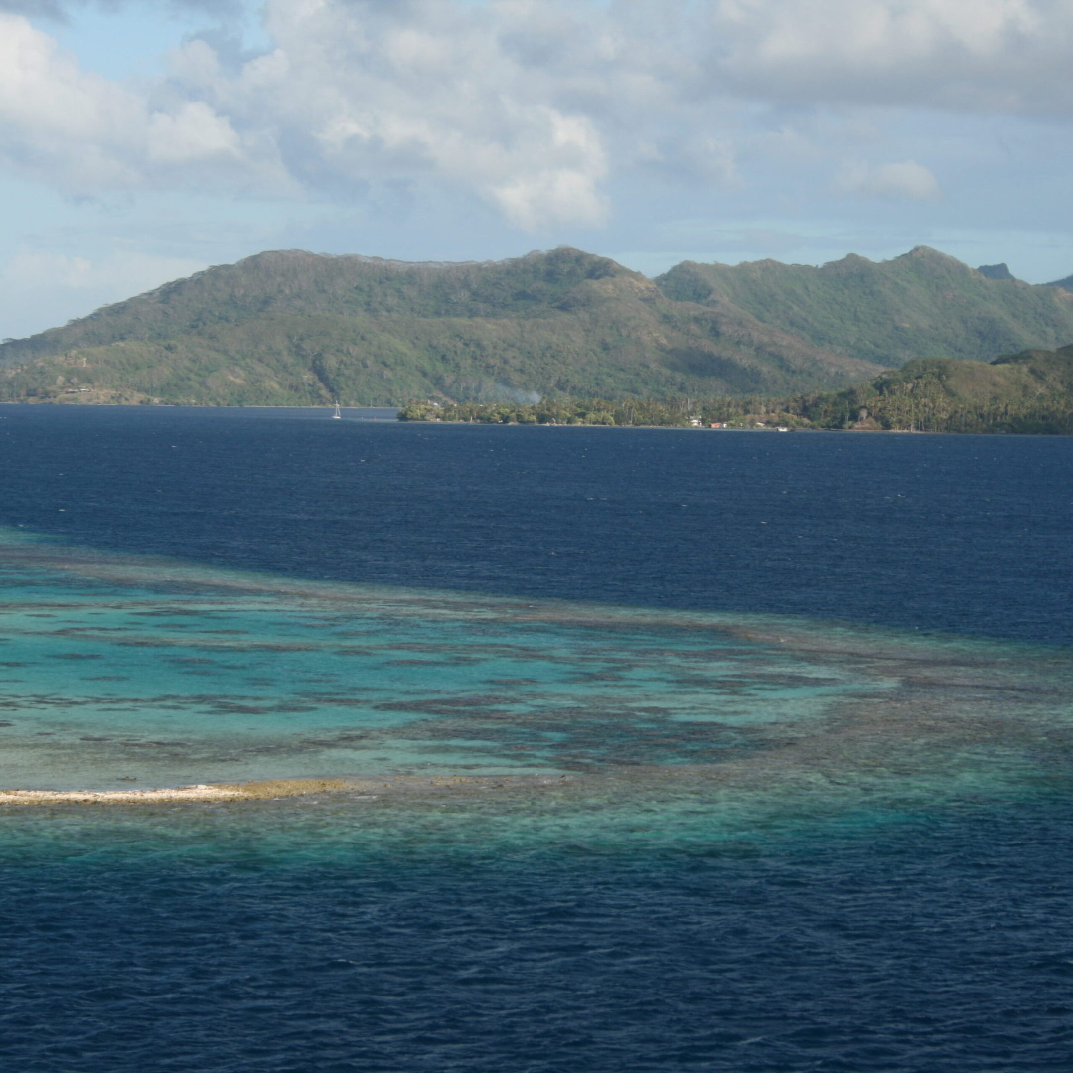 Tropical island with surrounding coral reef.