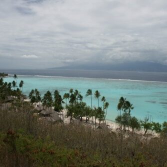 Tropical beach with palm trees and ocean.