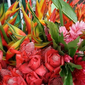Vibrant tropical flowers with lush green leaves.