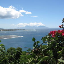 Ocean view with mountains and flowers.