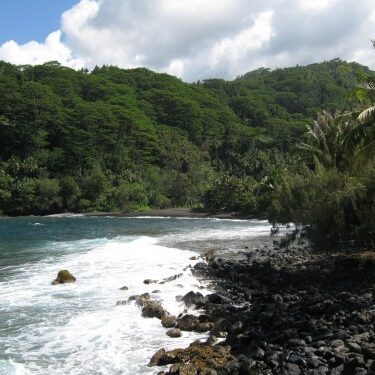 Tropical shoreline with lush greenery and waves.