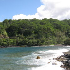 Tropical coastline with lush greenery and ocean.
