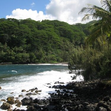 Tropical coastline with lush greenery and ocean.