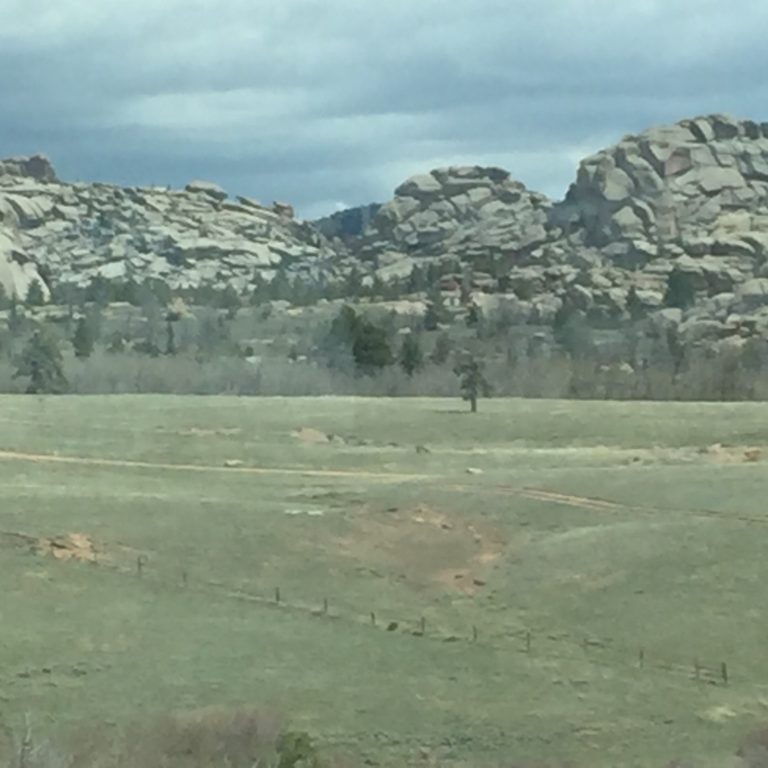Rocky landscape with grassy field and trees.