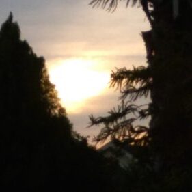 Sunset behind silhouetted trees and foliage.