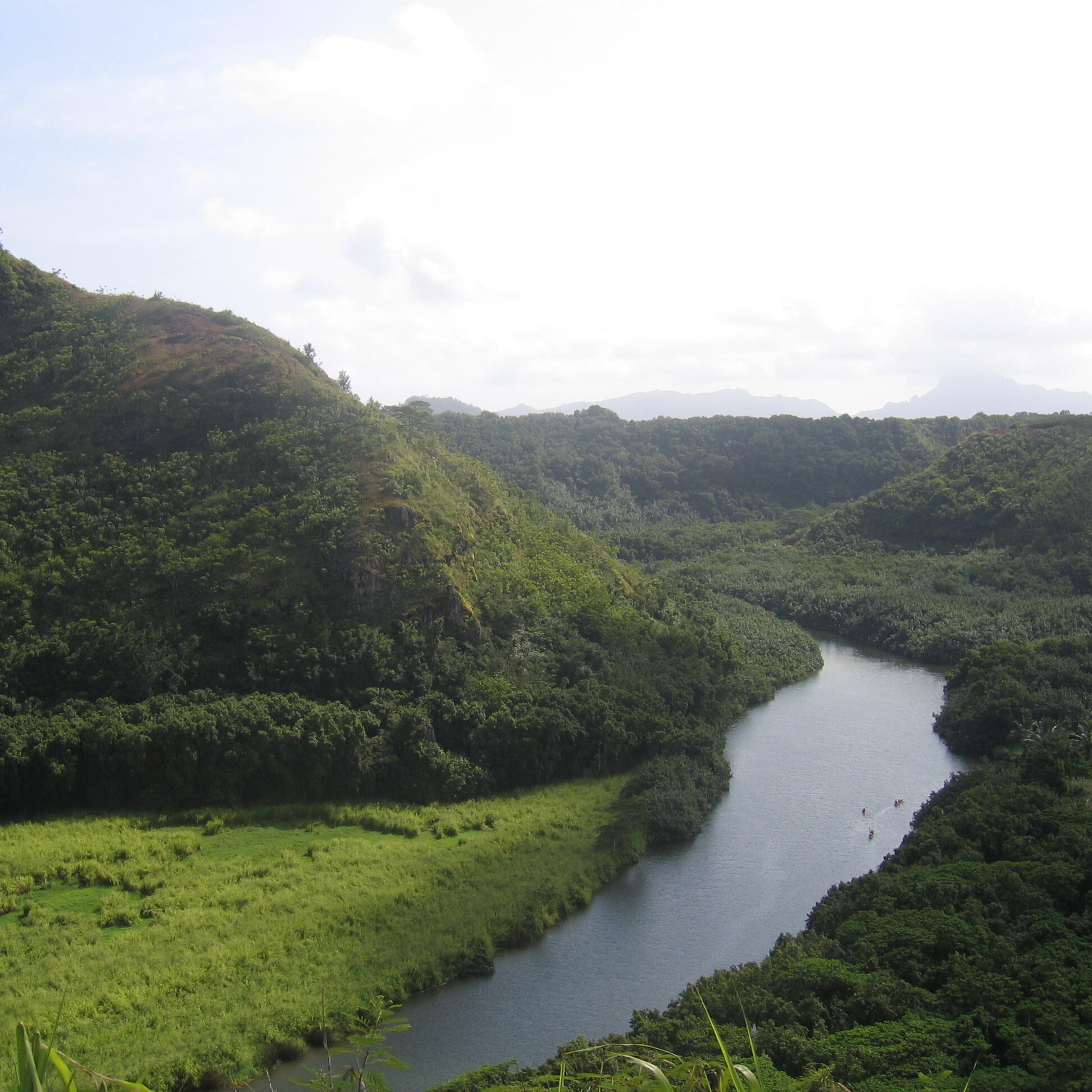 River winding through lush green landscape.