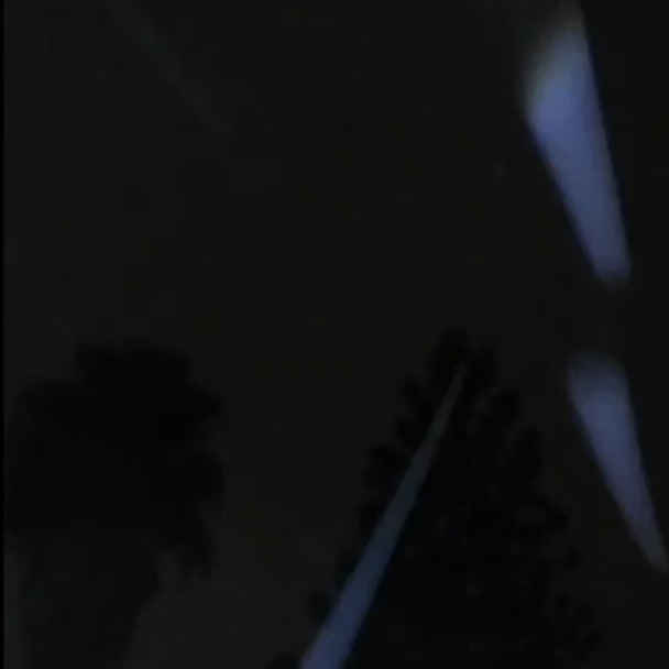 Dark sky with tree silhouettes and lights.
