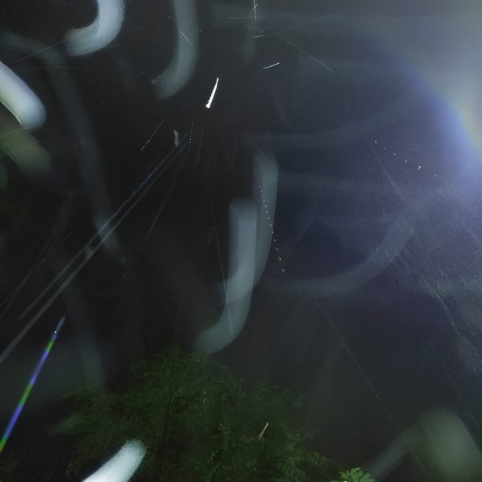 Night sky with light trails and trees